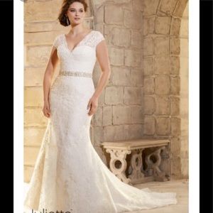 Venus bridals 🦋🦋🦋🦋🦋